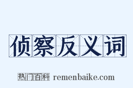 侦察反义词是什么意思的图片